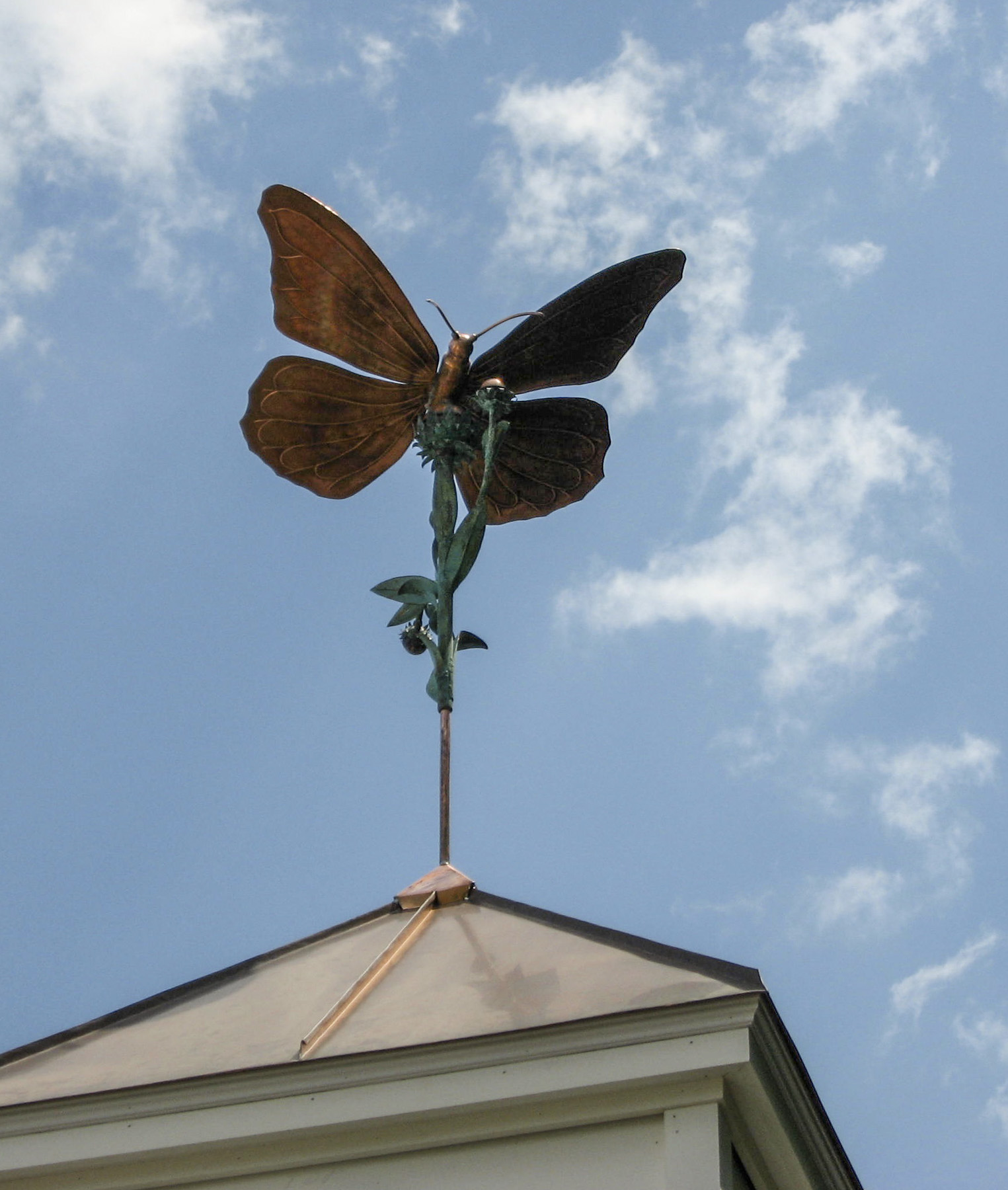 Photo of construction by TRM Enterprises